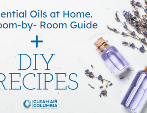 Essential Oils Room by Room Guide