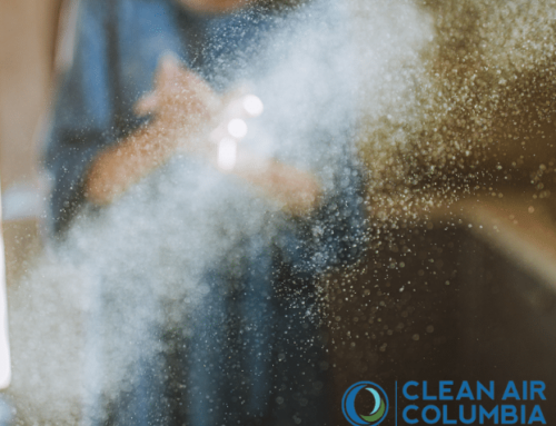 Identifying and Mitigating Common Indoor Pollutants
