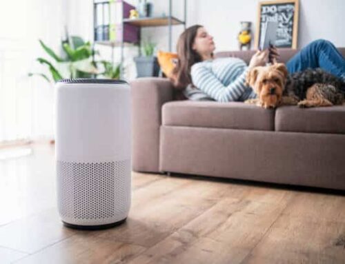 A Complete Guide to Choosing the Right Air Purifier for You